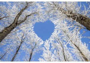 КОНКУРС «L'amour…»