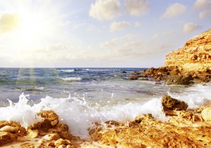 Гармония морского прованса